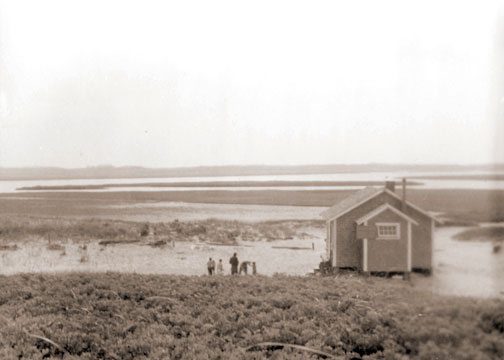 LOW TIDE - A Hot Day in August and a View from the Dunes